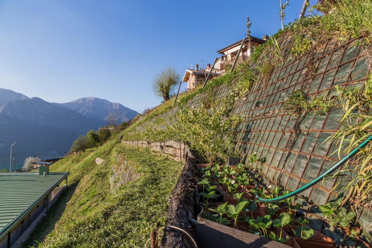 Agriturismo Alveare Sul Lago Pisogne Exterior foto