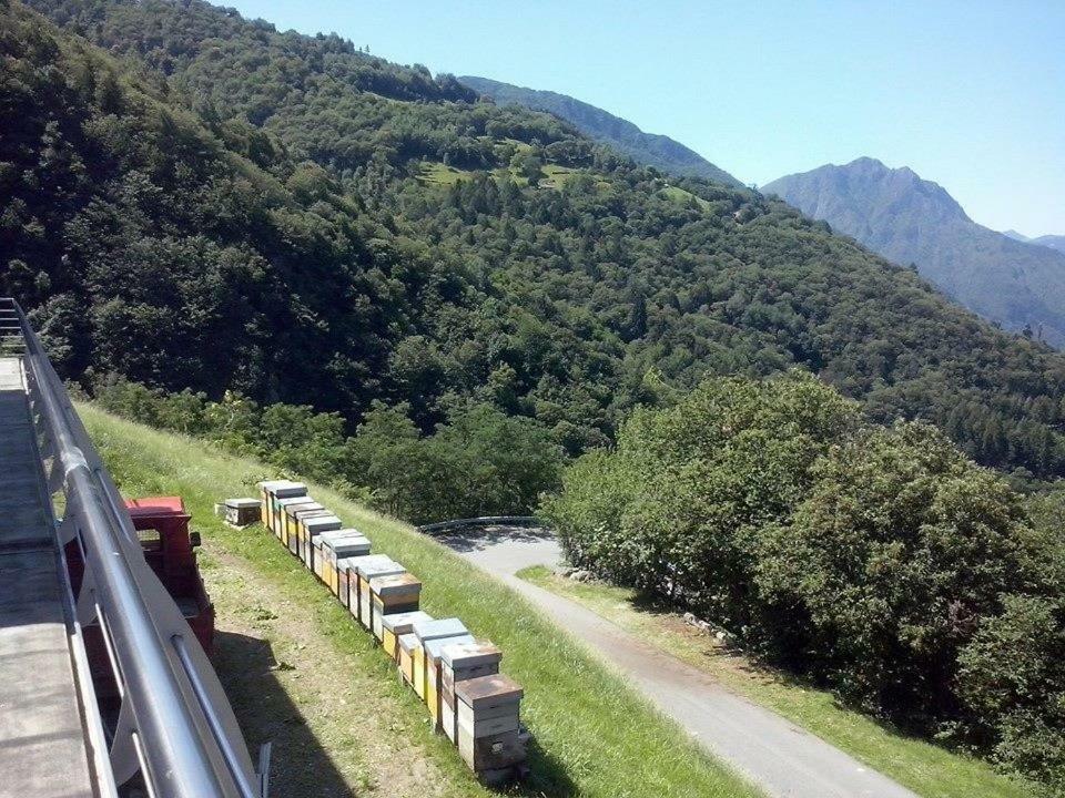 Agriturismo Alveare Sul Lago Pisogne Exterior foto